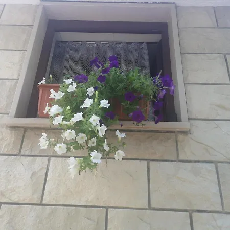 Апартаменты Krivic *